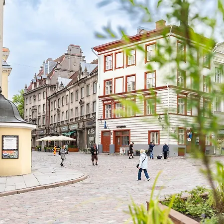 Bright With Sauna In The 0ld Town Apartment *