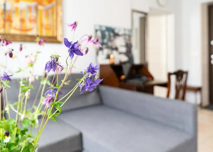 Bright With Sauna In The 0ld Town *