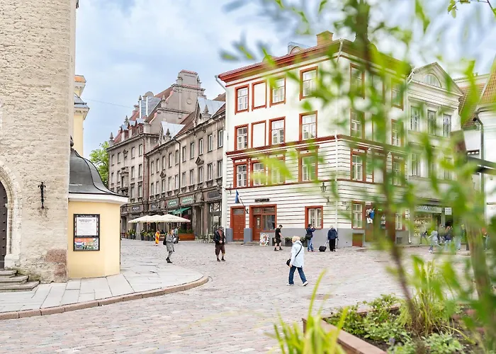 Bright With Sauna In The 0ld Town דירה *